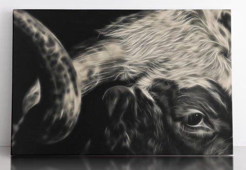 Eye of the Bull