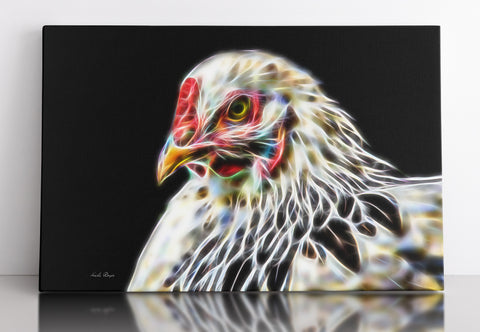 Light Brahma Hen