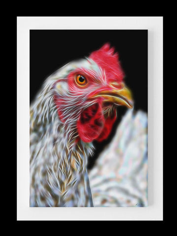 Farmer Favorite - White Leghorn Hen