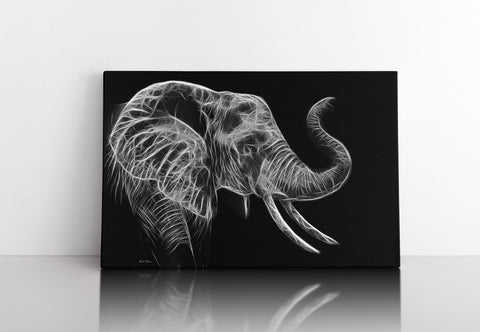 African Elephant
