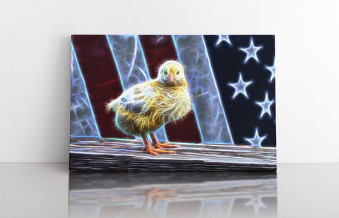 All-American Chick