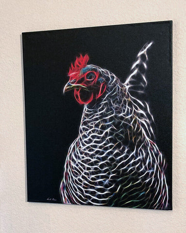 Betty Spaghetti - Barred Rock Beauty