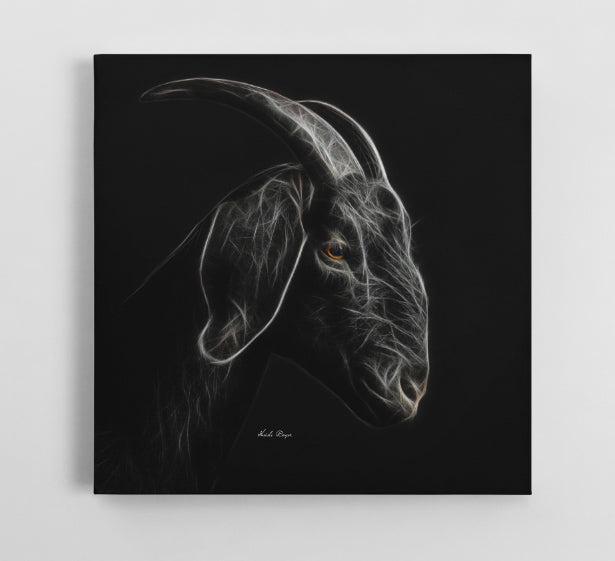 Black Goat Side Profile