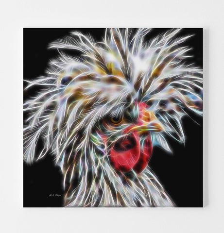 White Crested Blue Polish Rooster Art