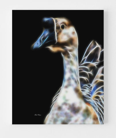 Chinese Goose