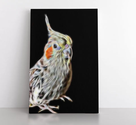 The Cockatiel