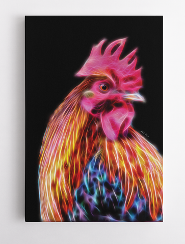 Colorful Rooster - In the Beginning