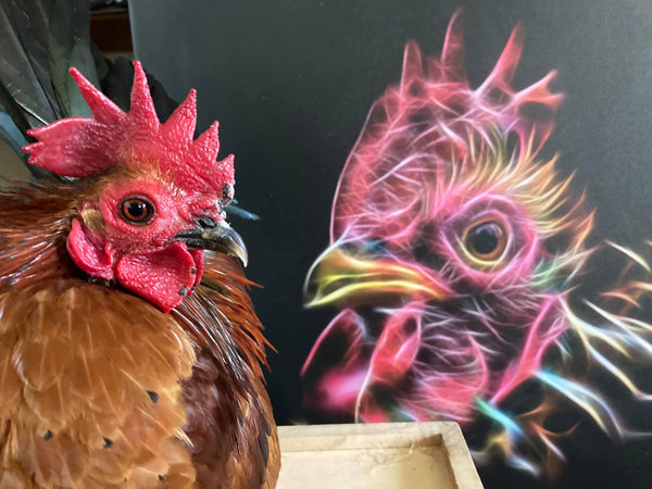 Custom Artwork by Heide Royer
