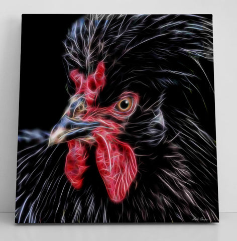 Crèvecoeur Rooster