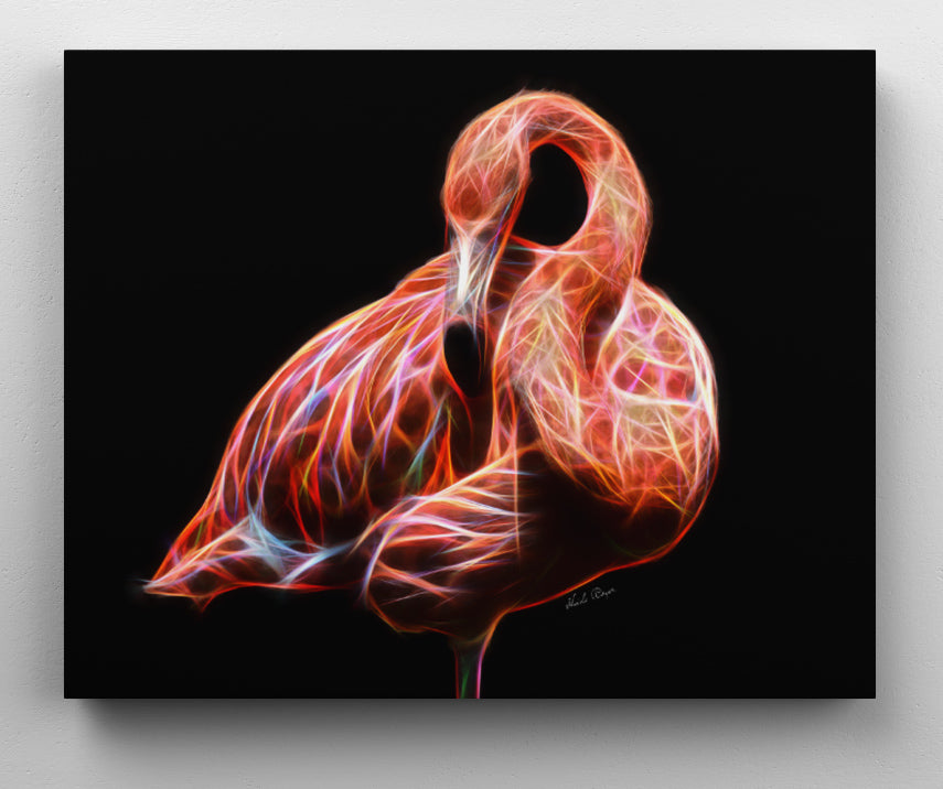 Flamingo Grace