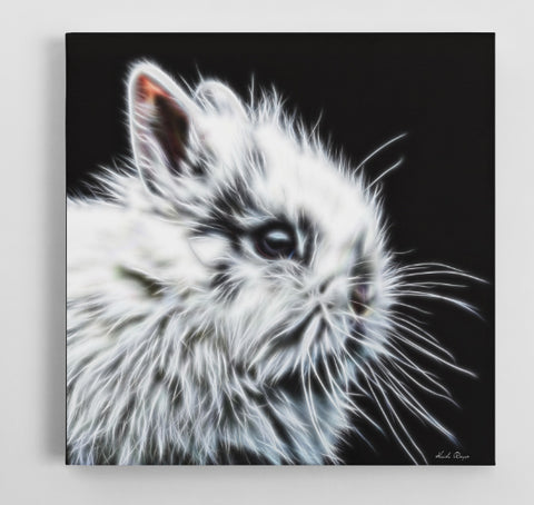 So FLUFFY! - Bunny