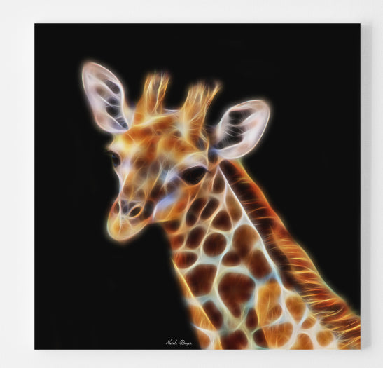 Giraffe Calf - Innocence and Beauty Abound