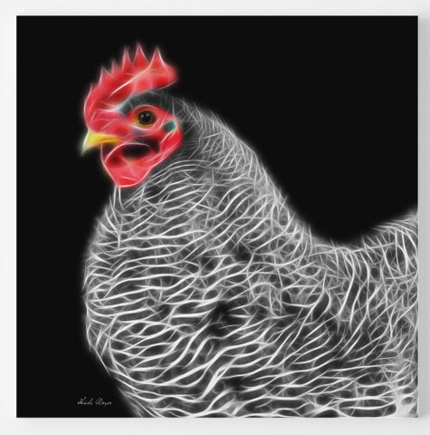 Good Golly, Its Dolly - Barred Rock