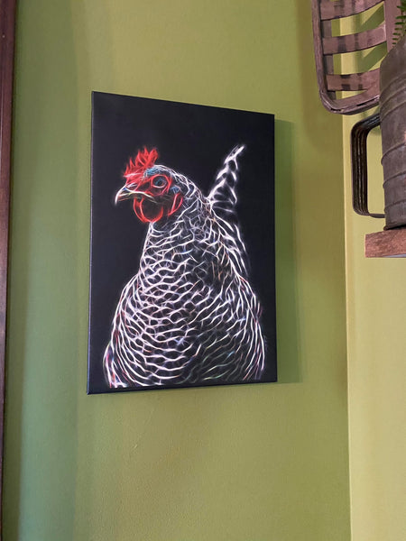 Betty Spaghetti - Barred Rock Beauty