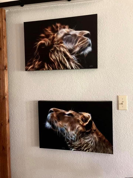 Loving Gaze - Lion Version