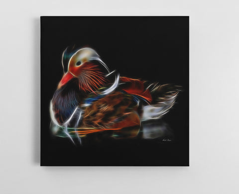 Mandarin Duck Madness