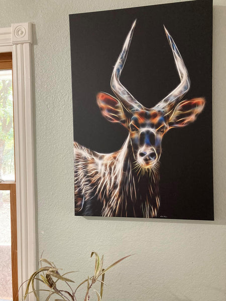 Nyala Antelope