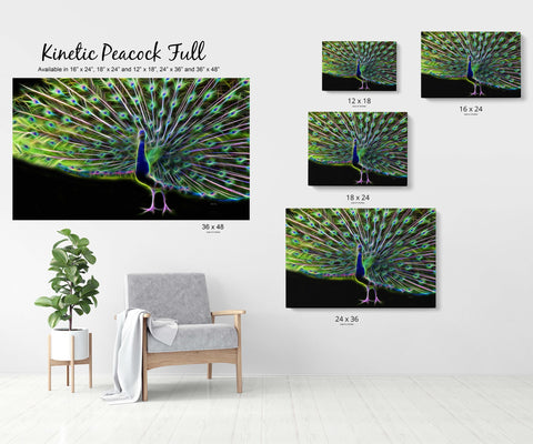 Kinetic Peacock Full Body