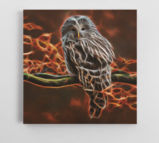 Phoenix Owl