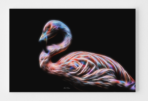 Flamingo Love