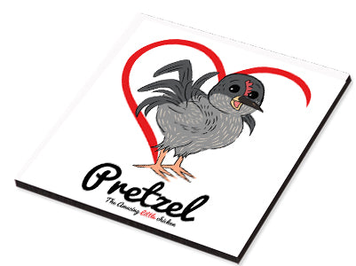 Pretzel The Amazing Little Chicken - Magnets