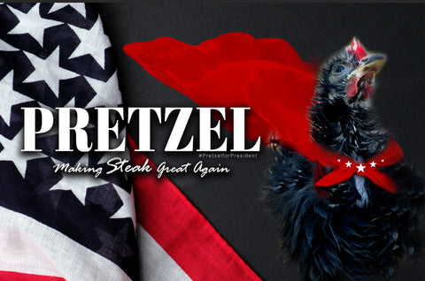 Pretzel For President 2024 Campaign Poster