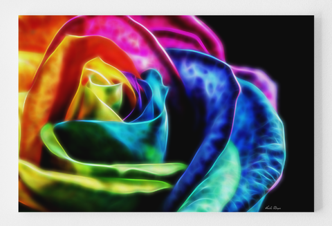 Rainbow Rose