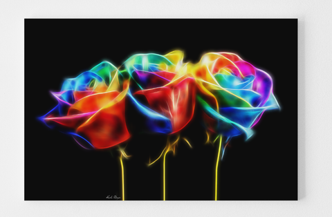 Rainbow Roses