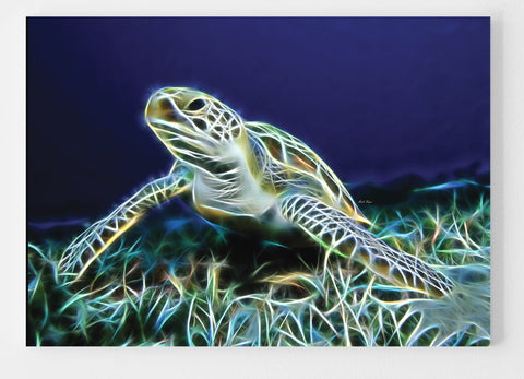 A Sea Turtle World