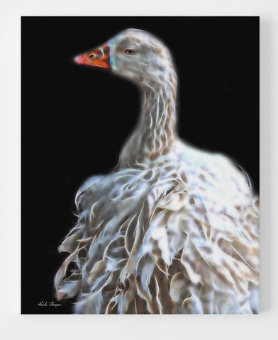 Sebastopol Goose - White Beauty