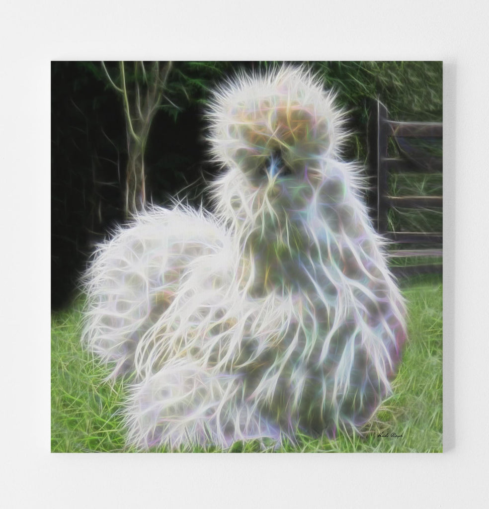 Beautiful Show Silkie in Grass