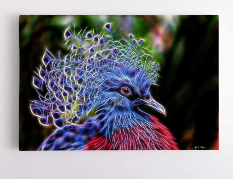 Victoria Crowned Pigeon - Royalty Abound