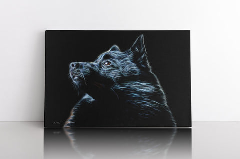 Schipperke " Wait for Me"