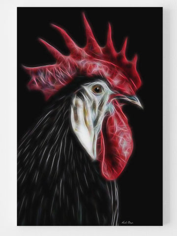 Exotic and Rare - White faced Black Spanish Rooster
