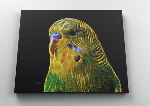Yellow Budgie