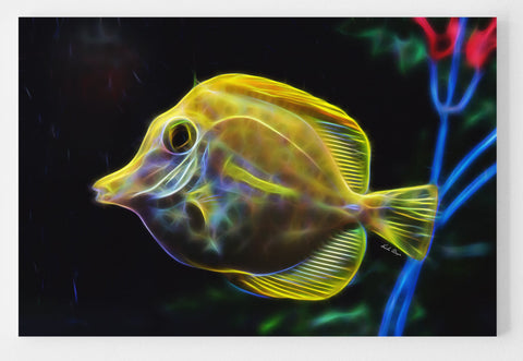 Yellow Tang