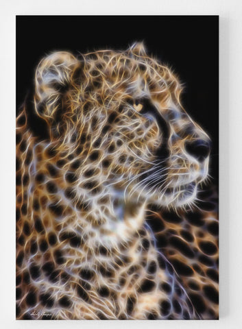 Cheetah Profile -