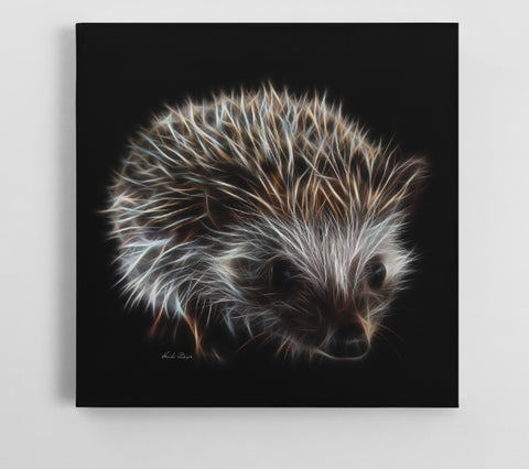Simon the Hedgehog