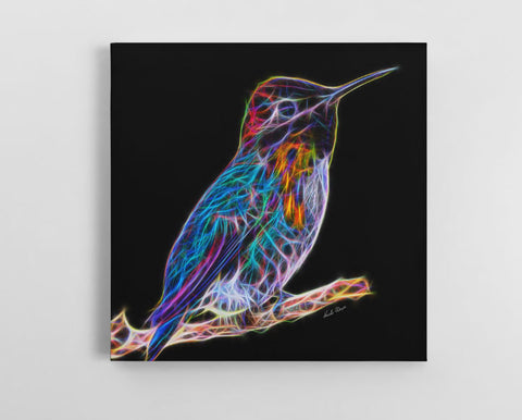 Colorful Hummingbird