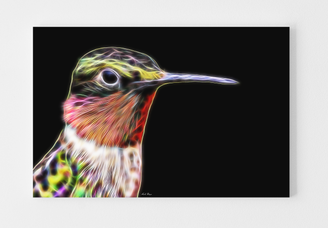 Hummingbird Vision