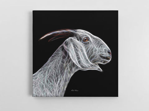 White Goat Side Profile